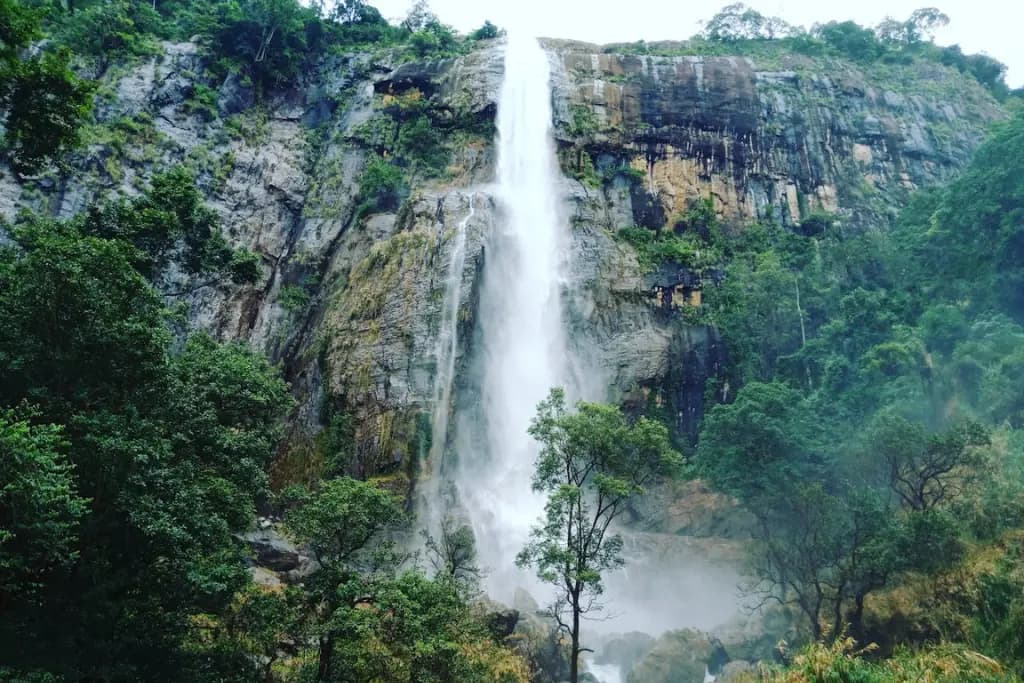 Diyaluma Waterfall Tour - Beautiful Tea Plantation & Scenic Tour in Hill Country, Sri Lanka