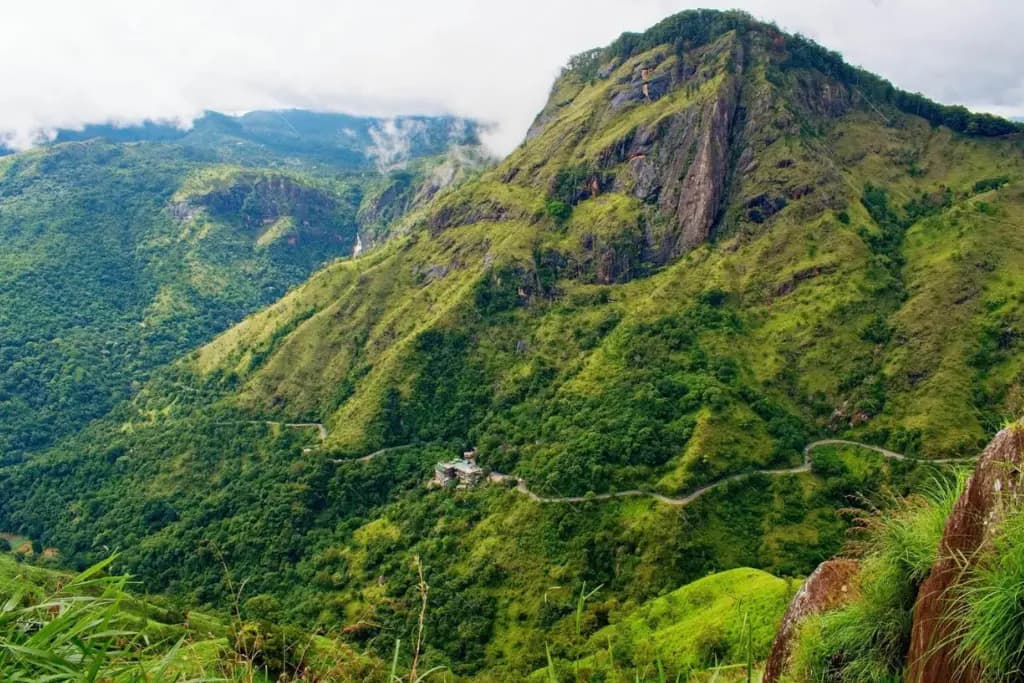 Ella Rock Tour - Beautiful Tea Plantation & Scenic Tour in Hill Country, Sri Lanka