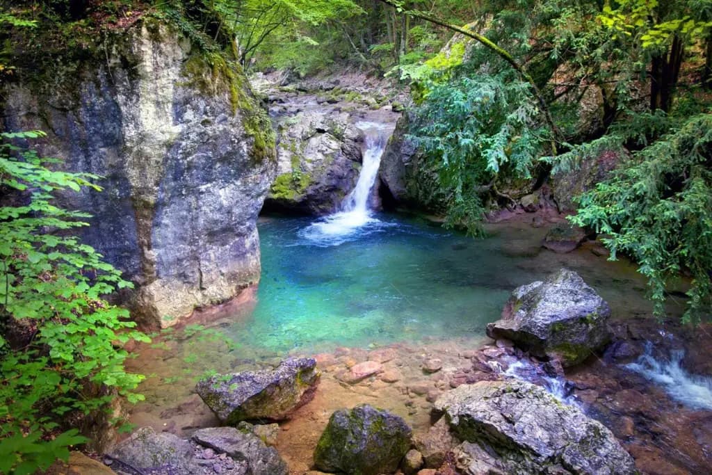 Secret Waterfall Tour - Beautiful Tea Plantation & Scenic Tour in Hill Country, Sri Lanka