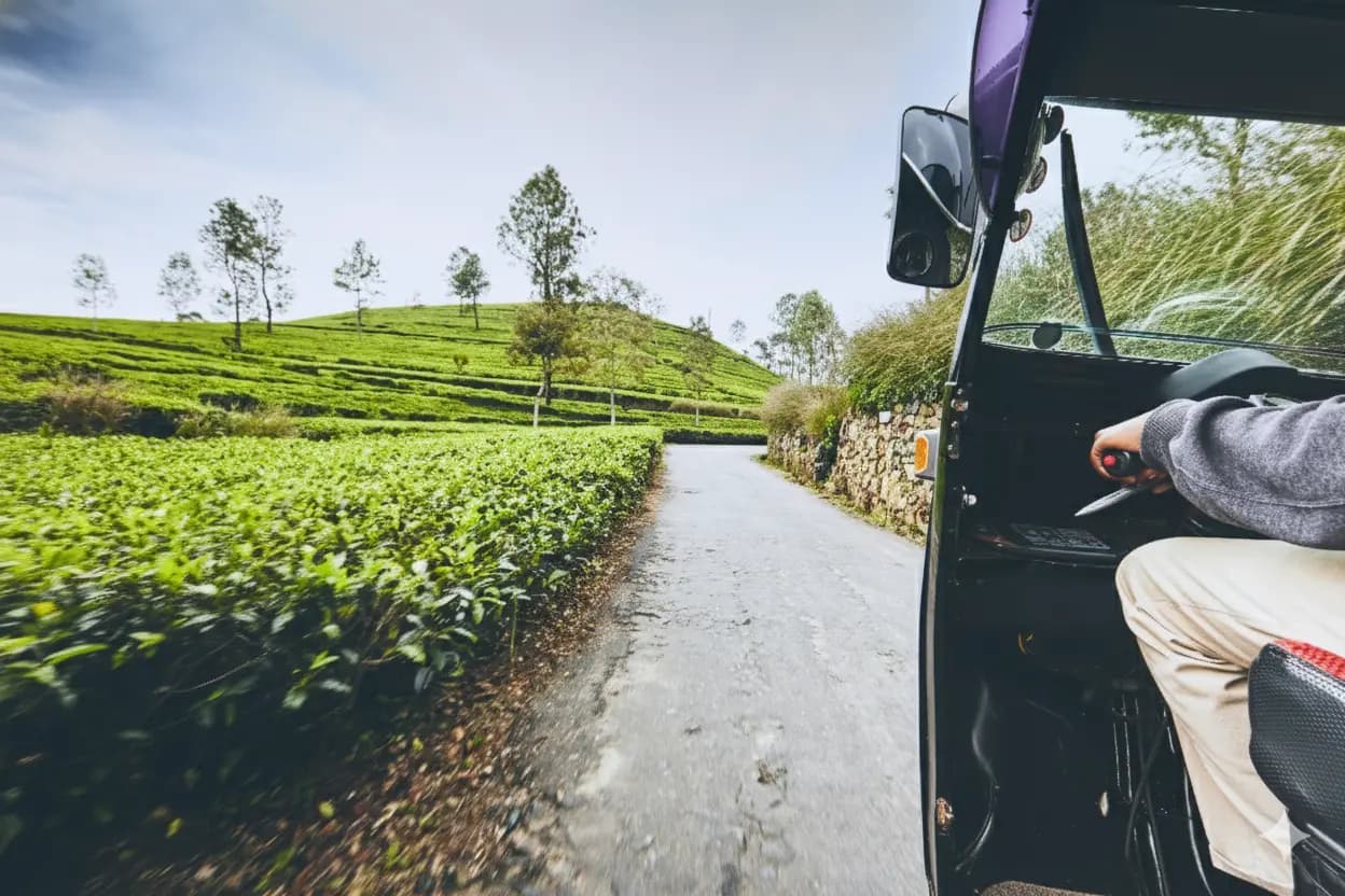 Tuk Tuk Tour - Beautiful Ella Hill Country Tour, Sri Lanka