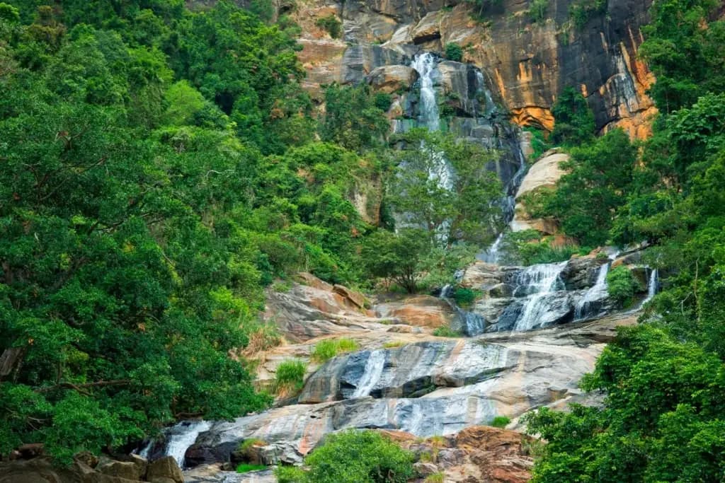 Ravana Waterfall Tour - Beautiful Tea Plantation & Scenic Tour in Hill Country, Sri Lanka