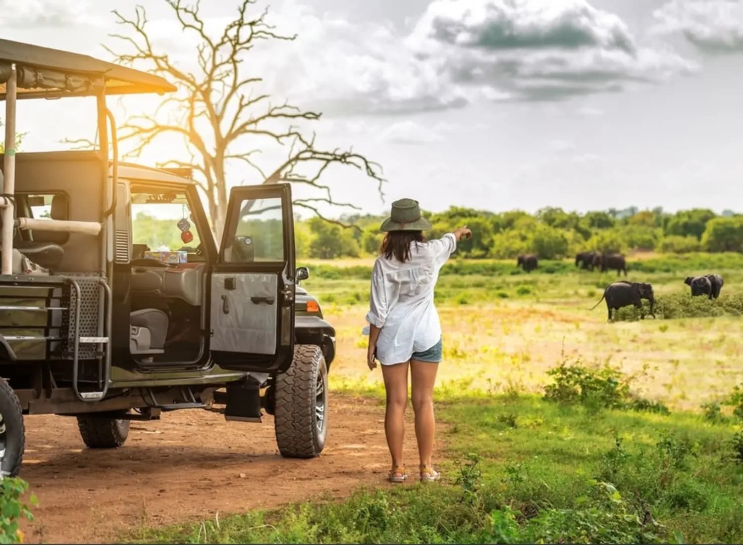 Safari - Professional Taxi & Tour Service in Beautiful Hill Country, Sri Lanka