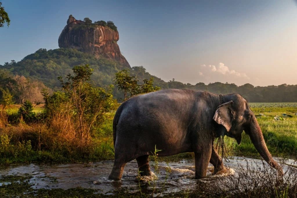 Explorer Lanka - Professional Taxi & Tour Service in Beautiful Hill Country, Sri Lanka